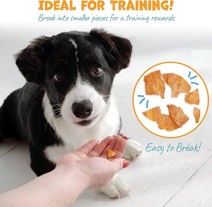 Pack Approved Chicken Chips - Crunchy, Single Ingredient Dog Treat -100% All Natural Chicken Breast - 4oz