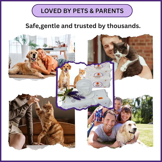 Aurora Pet Wipes – 100% Natural, Plant-Based Hypoallergenic Grooming Wipes for Dogs & Cats – Extra-Durable, Large & Thick for Effortless Cleaning (Lavender, 200 Count)