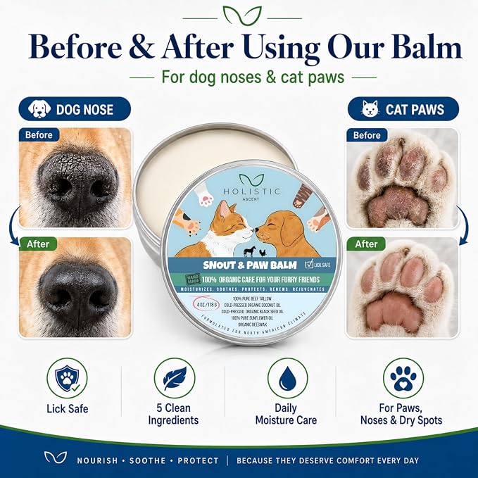 Dog & Cat Snout Paw Balm with Beef Tallow – Lick Safe. Paw & Nose Moisturizer for Dry, Cracked Paws – Natural Protective Balm for Dogs & Cats – 4 oz