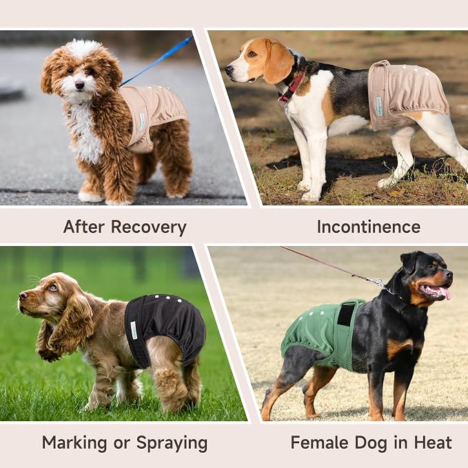 Langsprit Female Dog Diapers No Tail Hole,Reusable Puppy French Bulldog Diapers Female for Period Heat,Washable Doggy Doggie Diapers for Female Dogs Small Medium Large Size（XXL.Pink,Green,Black）