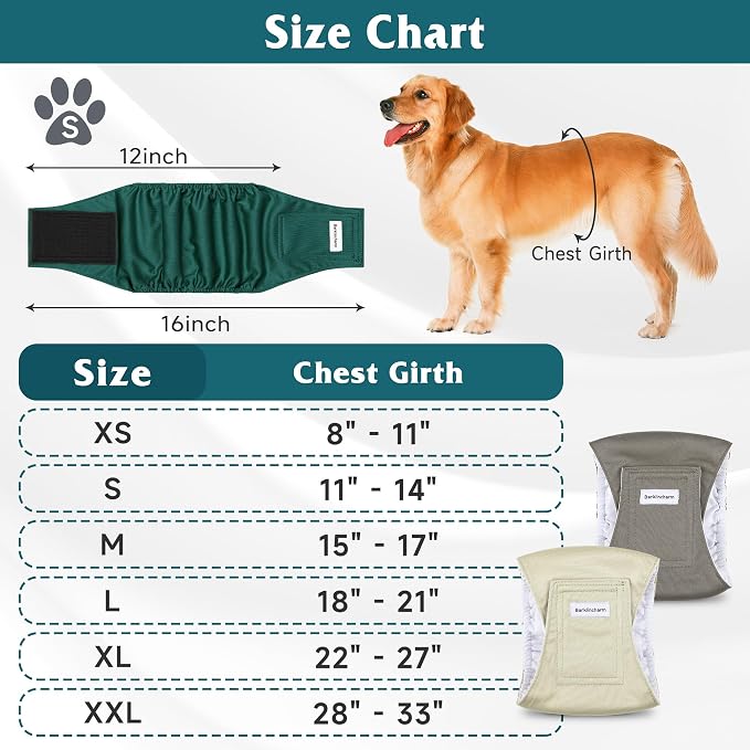 5 Pack Dog Diapers Male, High Absorbing Dog Wraps, Belly Bands for Male Dogs with Incontinence or Frequent Urination, Washable Doggie Diapers Green XXL