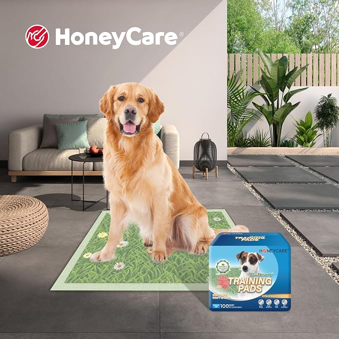 HONEYCARE Dog Training Pads with Grassfield & Fire Hydrant Printing丨Eliminating Urine Odor Puppy Pads 丨 XL Premium Dog Pee Pads (30Count, 28x34 inch)