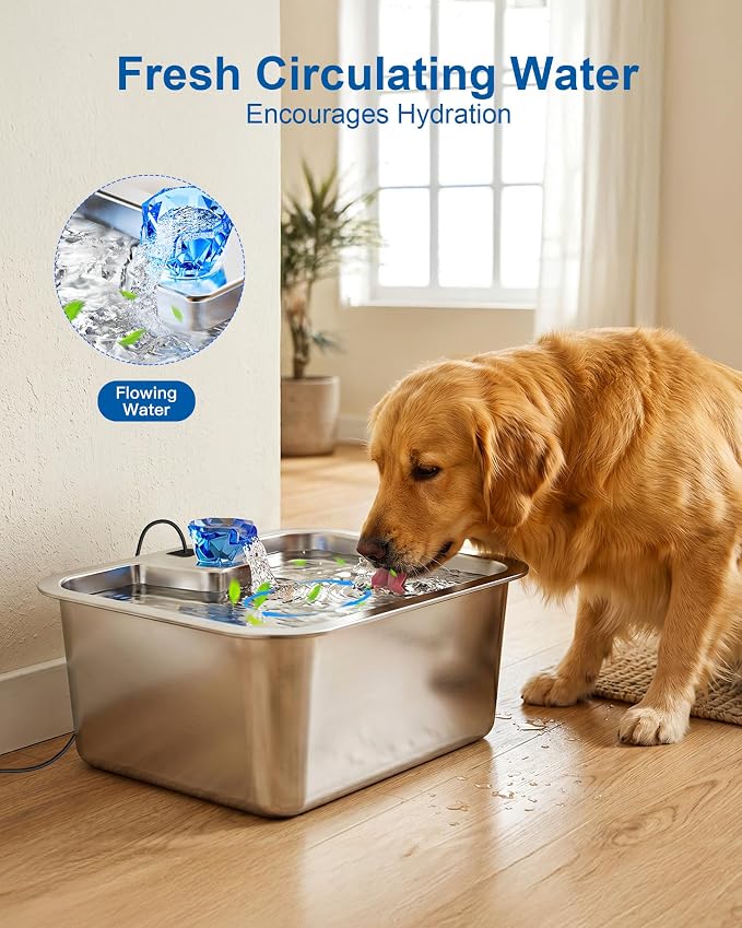 PETNF Dog Water Fountain, 3Gal Stainless Steel Pet Water Dispenser with 4-Stage Filtration, Ultra-Quiet Pump & Circulating Flow, Ideal for Large Dogs Multi-Pet Home, Perfect for Long Trips & Daily Use