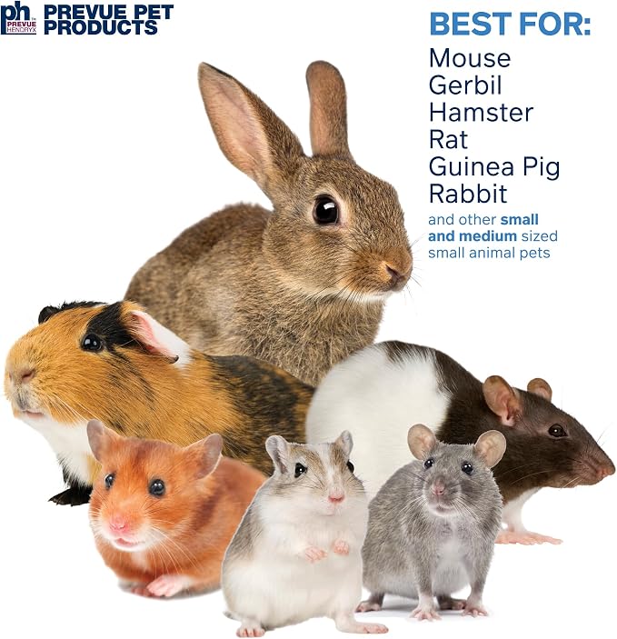 Prevue Pet Products Celebration! Small Animal Mineral Chew Toy Bundle - Cage Accessories & Enrichment Toys for Chewing, Dental Health, Boredom Relief, and Teeth Grinding, for Bunnies, Hamsters, & More