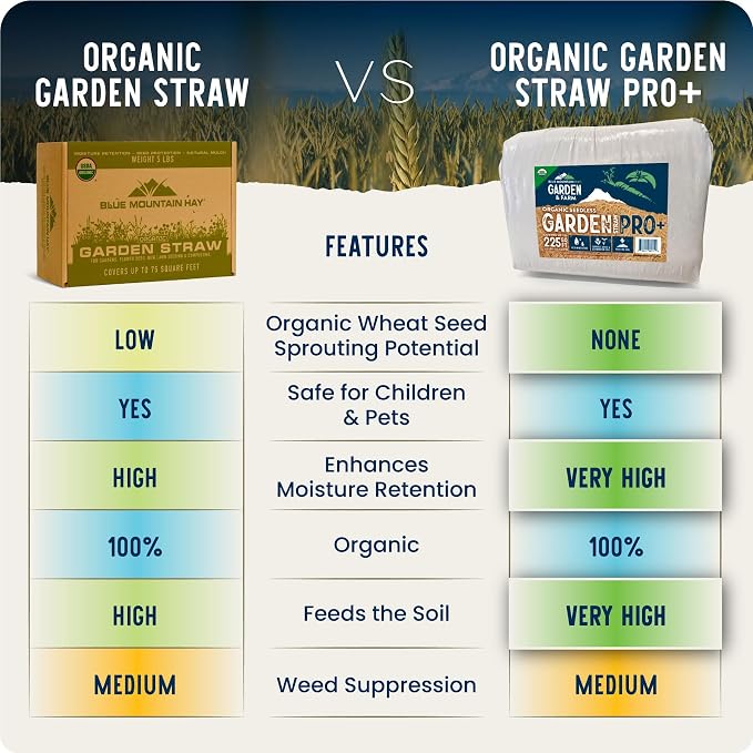 Blue Mountain Hay Organic Garden Straw (10 lb) - Natural Mulch for Gardening, Flower Beds & Landscaping, New Lawn Grass Seeding, Compost, Raised Garden Bed, Cat Grass & Grass Seed