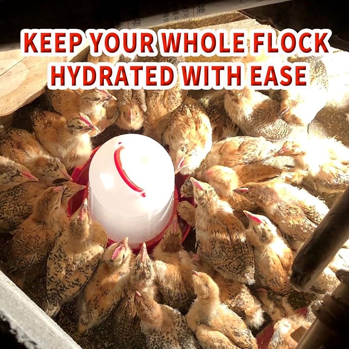 Oncpcare Chick Feeder and Waterer Kit, 4 Pack Baby Chick Starter Kit | Essential Supplies and Accessories for Coop, Duckling, Quail, Pigeon