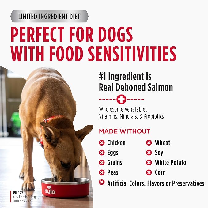 Nulo FreeStyle Limited Ingredient Dry Dog Food - High Protein Salmon Recipe, Natural Grain Free Dog Food for Puppies & Adults, Small, Medium and Large Breed Kibble, 24lb Bag