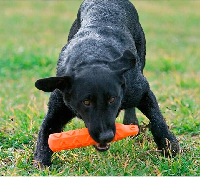 Avery ASD 3" HexaBumper Hunting Sporting Gun Dog Game Retriever Dummy | Water & Upland Mark Training Retrieval Tool | Hexagonal, Floating Design, Easy-Grip Texture, Throw Rope, Orange (02733)