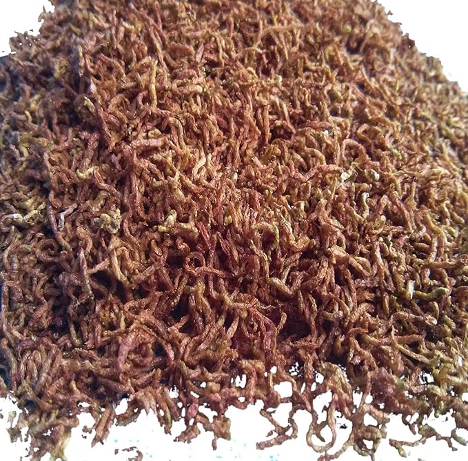 Bloodworms, Freeze Dried Fresh Grade A Floating Bloodworms for All Tropical Fish, Bettas, Discus, Cichlids, Community Fish, Turtles, Carnivores. Shipped from Calif...1-lb