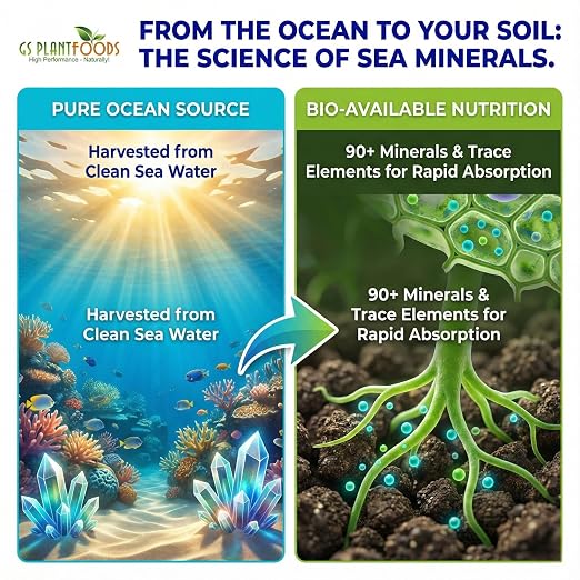 Ocean Magic Sea Minerals, 32 fl. oz.