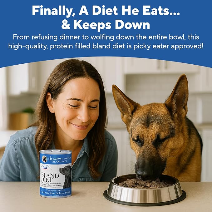 Dave's Pet Food Bland Diet Dog Food (Chicken & Rice), Sensitive Stomach, Easy to Digest Pate, Gluten-Free, Digestive Care, Low Fat (6%) Limited Ingredients, Complete & Balanced, 13.2 oz (Case of 12)
