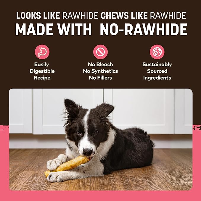 Earth Animal No Hide Chews - Long Lasting Rawhide Free Medium Dog Chews Rolls, Salmon - 3 Count Value Pack