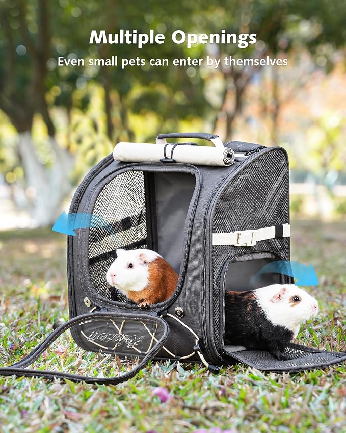 Pecute Small Pet Carrier, Breathable Bearded Dragon Carrier, with Transparent Bubble & Steel Frame, Safety Lock for Hamster, Rabbit, Guinea Pig, Parrot, Kitten, Puppy, Ideal for Travel/Vet Visits/Camp