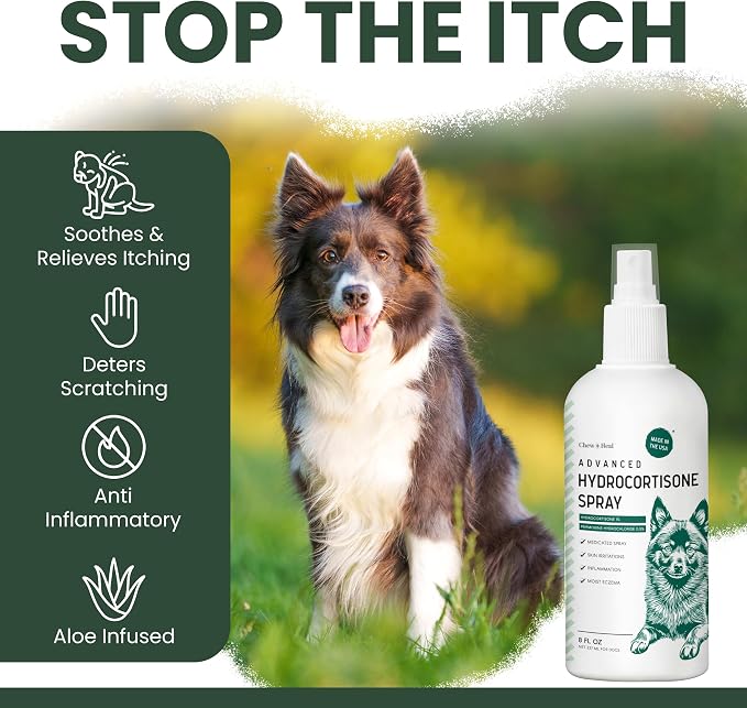 Hydrocortisone Spray for Dogs - Hot Spot Treatment & Itch Relief, 4 oz with Pramoxine - Soothes Dry Itchy Skin, Allergies, Dermatitis, Flea Bites, Aloe Infused, Made in USA - Chew + Heal Labs