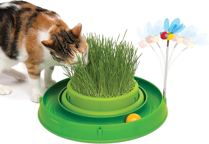 Catit Play Circuit Ball Cat Toy with Scratch Pad Catnip Toy, Green, 43002