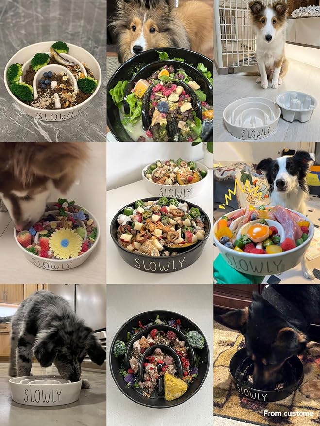 LE TAUCI PET Ceramic Slow Feeder Dog Bowls Small Breed, 0.6 Cups Dog Food Dish for Fast Eaters, Puzzle Bowl for Small Dogs and Cats,Black
