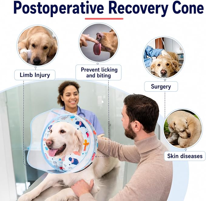 Inflatable Dog Cone Collar for Large Medium Small Dogs, Soft Dog Donut Collar Adjustable Recovery Cone for Pets After Surgery, Extra Enhanced Anti-Licking Guard Shield (Dinosaur, Medium Plus)