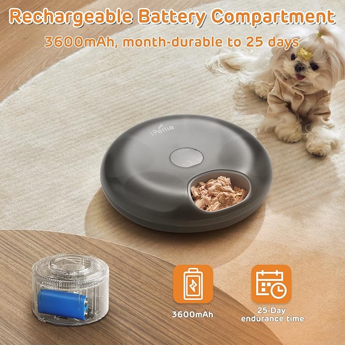 iPettie Donut Frost 6 Meal Cordless Automatic Pet Feeder, Dry & Wet Food Automatic Cat Feeder with Two Ice Packs, Rechargeable Massive Battery, Programmable Timer, Classic Black