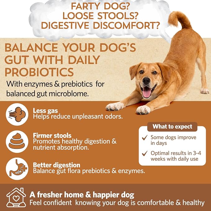 Fidobiotics Good Guts Probiotics for Dogs – Dog Probiotic Powder for Digestive Health, Gas Relief & Firmer Stools, 6B CFUs, Enzymes & Prebiotics, Medium Dogs, Puppies & Adults, Pack of 2