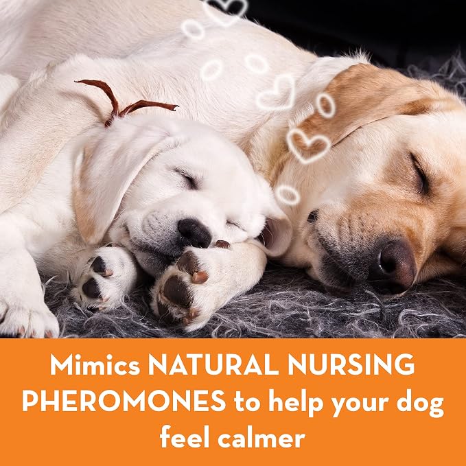 ThunderEase Dog Calming Pheromone Diffuser Refill | Powered by ADAPTIL | Vet Recommended to Relieve Separation Anxiety, Stress Barking and Chewing, and the Fear of Fireworks and Thunderstorms (180 Day