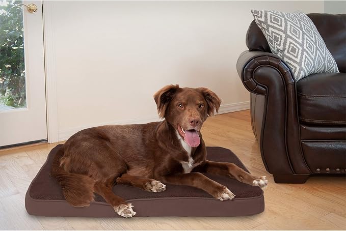 Furhaven Memory Foam Dog Bed for Large/Medium Dogs w/ Removable Washable Cover, For Dogs Up to 55 lbs - Terry & Suede Mattress - Espresso, Large