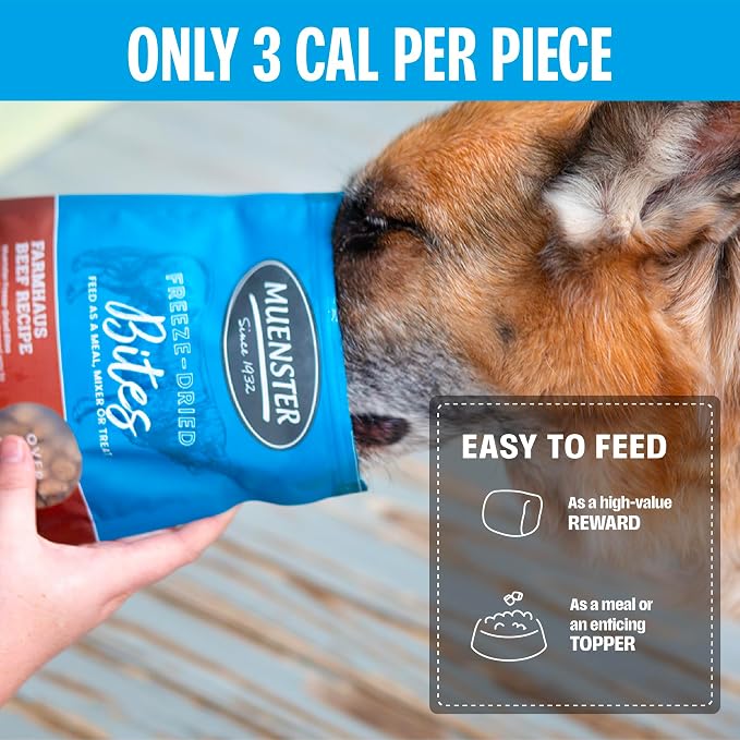 Muenster Freeze Dried Beef Bites - Dog Food, Treat, Mixer or Topper (5oz) - Grain-Free