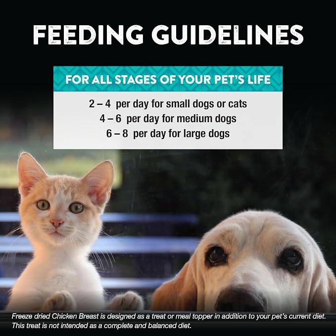 Northwest Naturals Raw Rewards Freeze-Dried Chicken Breast Treats for Dogs and Cats - Bite-Sized Pieces - Healthy, 1 Ingredient, Human Grade Pet Food, All Natural, Proudly Made in USA, 10 Oz