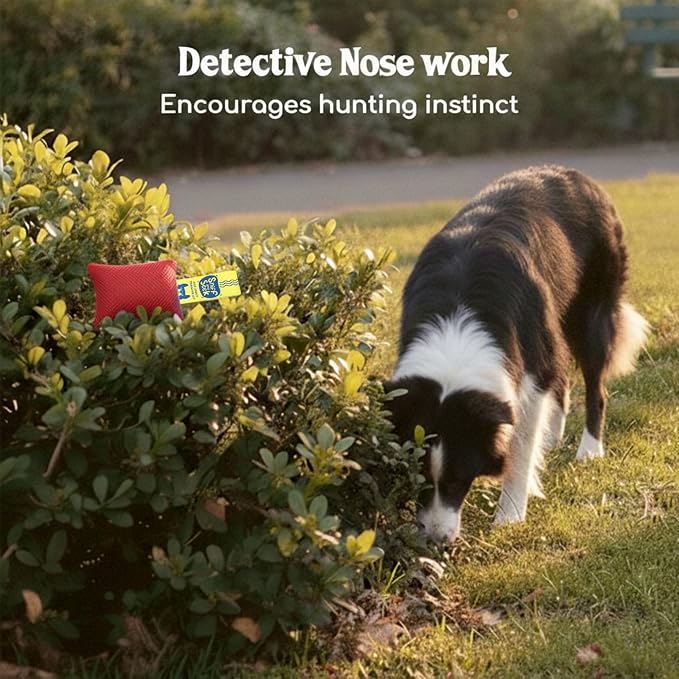 Race&Herd Original Dog Scent Training Kit, Scent Work Training Kit for Dogs - Nosework for Dog Mental Stimulation Agility Training Equipment for Dogs, Brain Games Smell Training Kit for Loss of Smell