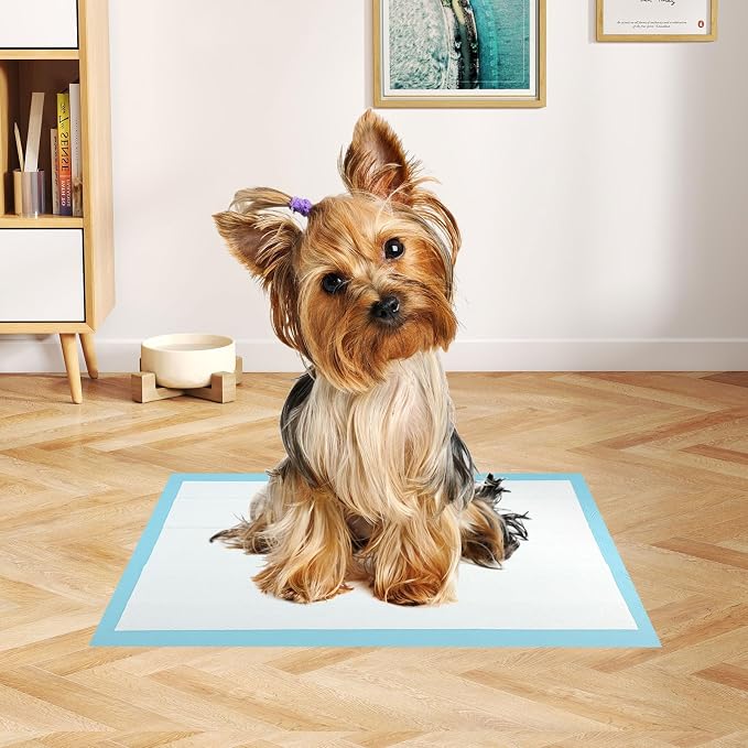 Giantex Dog Pee Pads 300 Count, 18" x 13" Puppy Training Pads for Small Dogs & Puppies, Super Absorbent Leak-Proof Disposable Potty Pads for House Training, Indoor & Outdoor Use