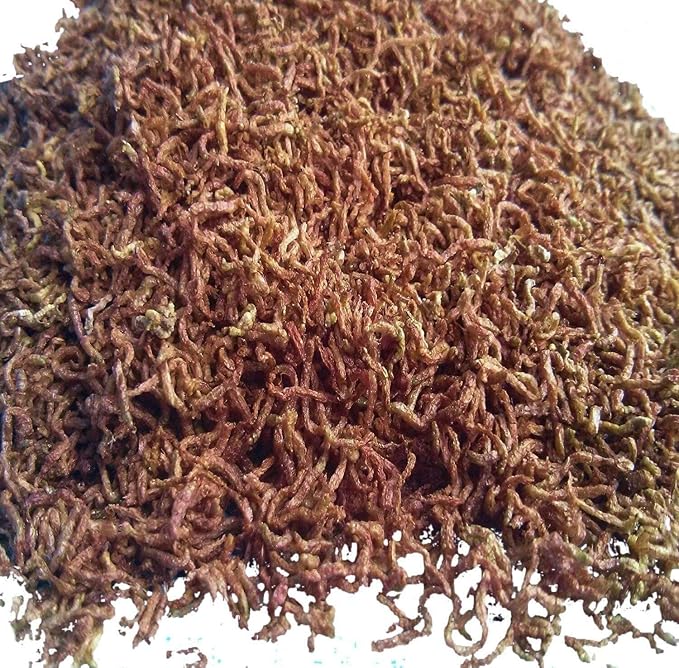 Bloodworms, Freeze Dried Fresh Grade A Floating Bloodworms for All Tropical Fish, Bettas, Discus, Cichlids, Turtles, Also Carnivorous Plants - 2-lbs