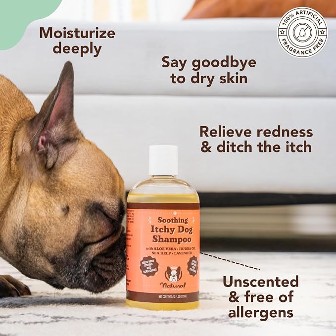 Natural Dog Company Grooming Bundle with (1) Itchy Dog Shampoo,12 oz. and (3) Grooming Wipes, 50 Count Each