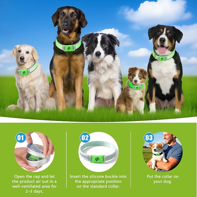 Dog Tag with 2refills (Green Pendant+2refills)