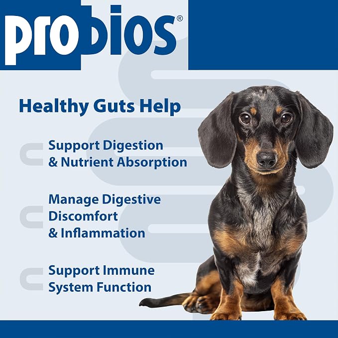 Probios for Dogs Soft Chews, Daily Probiotic Supplement for Gut Health, Digestion and Immune Support Medium and Large Breeds, Chicken Liver Flavor, 4.23 oz 120 Chews