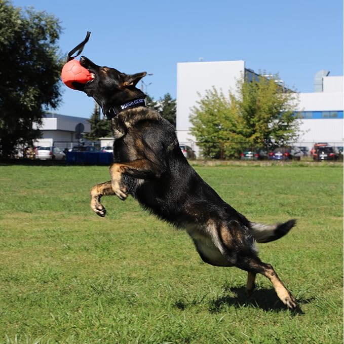 DINGO GEAR WWW.DINGOGEAR.COM 1977 Faux Leather Ball for Dog Training, as Reward for Fetch tug of war, for Strong Dog, Handmade, 7in Orange S02698