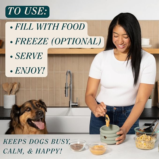 Should We Go? Interactive Dog Enrichment Toy with Freezer Plug, BPA-Free Silicone Puzzle Dog Freeze Bowl & Treat Dispenser for Mental Stimulation, Ideal for Kibble & Frozen Licks, Fits 17 oz, Large