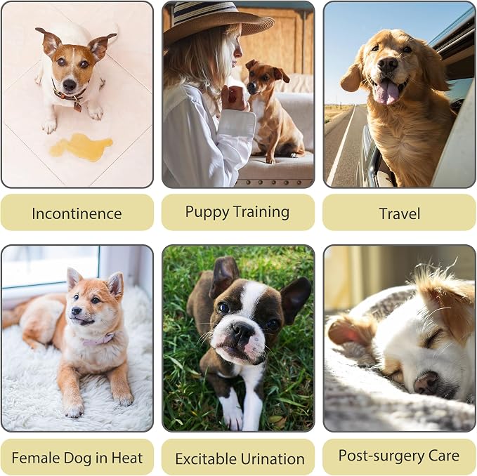 Paw Legend Washable Reusable Female Dog Period Diapers for Heat Doggie Puppy Diapers for Female Dogs (3 Pack, Large)