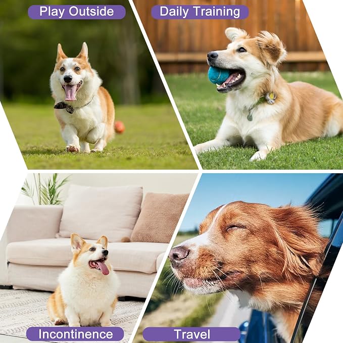 Female Dog Diapers Reusable No Tail Hole Period Panties Washable Diapers Female for Docked-Tail Frenchie French Bulldog Boston Terrier Without Tail (2 Pack Regular+2 Pack Skirts) U-WWDQB01XS