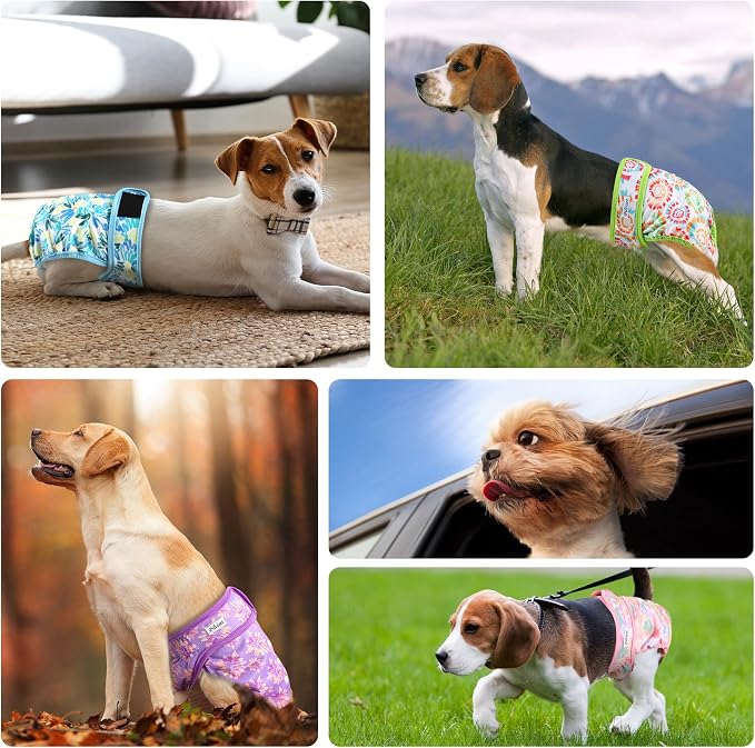 Dog Diapers Female 5pcs,Reusable Dog Doggie Puppy Doggy Diapers Female, Period Panties in Heat, Tiedye, XXLarge