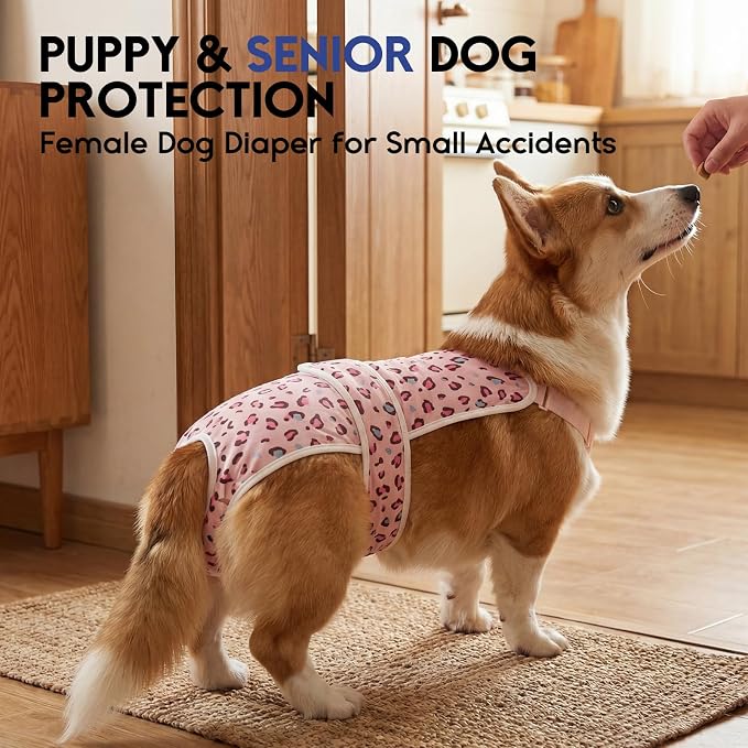 ASENKU 2 Pack Female Dog Diapers with Suspenders, Reusable Washable Puppy Panties for Small Dogs, Leak-Proof Pet Underwear for Heat Cycle & Period