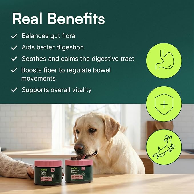 Wuffes Daily Probiotic for Dogs - Supports Digestive Health, Gut Balance, and Immune System - with Prebiotics, Marshmallow Root, and Pumpkin Powder - 60 Soft Chews