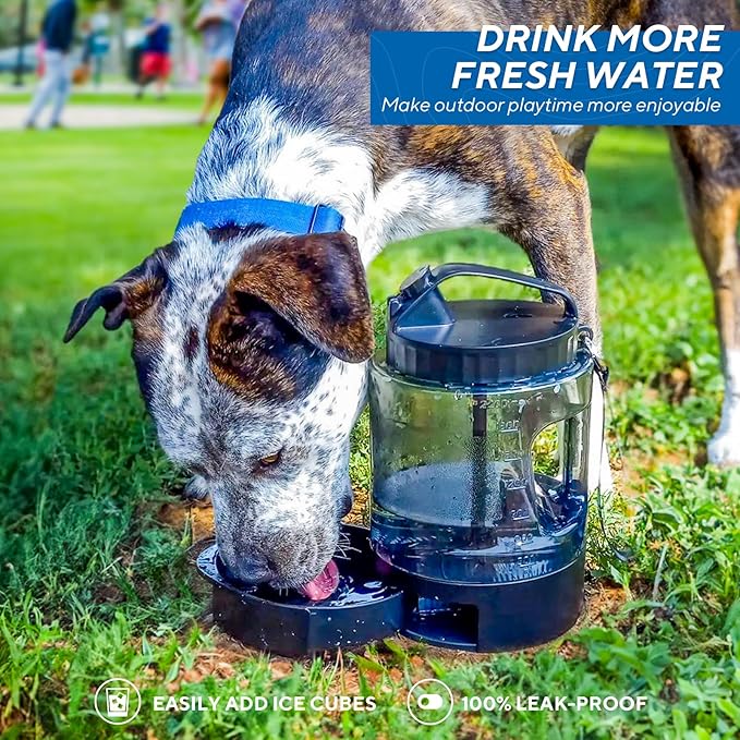 77OZ Large Dog Water Bowl Dispenser with Pull-Out Travel Water Bowls for Dogs + Dog Dryer for Pet Grooming, 3.2HP Adjustable Speed Temp Pet Hair Dryer