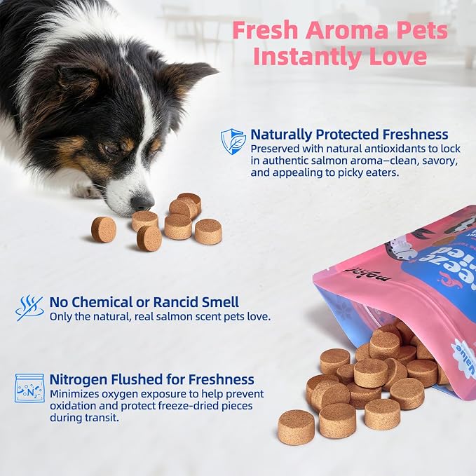 MAJOR PETS Freeze Dried Salmon Dog & Cat Treats - Wild Caught Alaskan Salmon -Single Protein - Grain Free & Gluten Free - Dog Food Toppers & Training Treats - Made and Sourced in The USA - 10 oz