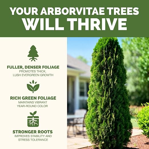 Arborvitae Tree Fertilizer – Liquid Plant Food for Fuller Green Foliage, Faster Growth & Stronger Root Development, 8 oz