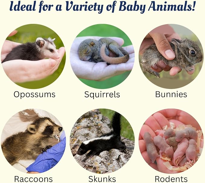 Exotic Nutrition Baby Squirrel Nursing Set (Basic) - Milk Replacer, Feeding Syringes