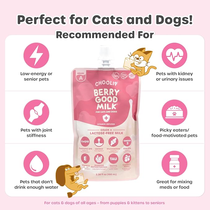 Choolip Berry Good Milk for Cats & Dogs – Lactose-Free Pet Milk Pouches – Vet-Formulated Hydrating Drink with Cranberry, CoQ10, Glucosamine & Omega-3 (100mL x 8 Pouches)
