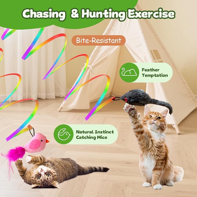 Hanging cat Toys