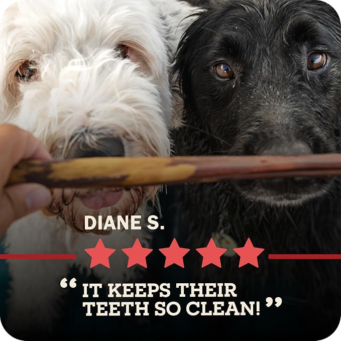 Redbarn Bully Spring Dog Chews 4"-6" 3-Count- 100% Natural Single Ingredient Beef Pizzle Spiral Sticks for Medium to Large Dogs - Rawhide Free Long Lasting Dental Chews