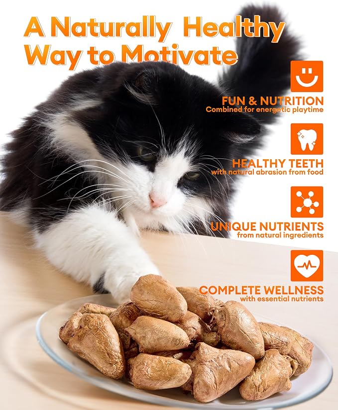 Freeze-Dried Chicken Hearts Cat & Dog Treats, 3.52 oz — High Protein, Single Ingredient, Grain Free, No Additives or Preservatives, Sealed Box