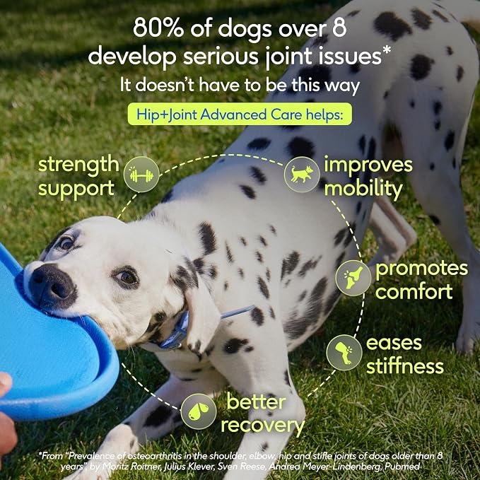 Native Pet Hip and Joint Supplement Dogs - Powder with UC-II Collagen and HMB - Senior and Large Breed Dog Joint Support - Made in USA - 120 Scoops