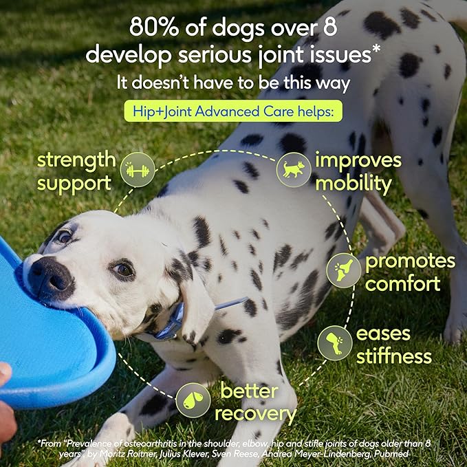 Native Pet Hip and Joint Supplement Dogs - Powder with UC-II Collagen and HMB - Senior and Large Breed Dog Joint Support - Made in USA - 30 Scoops